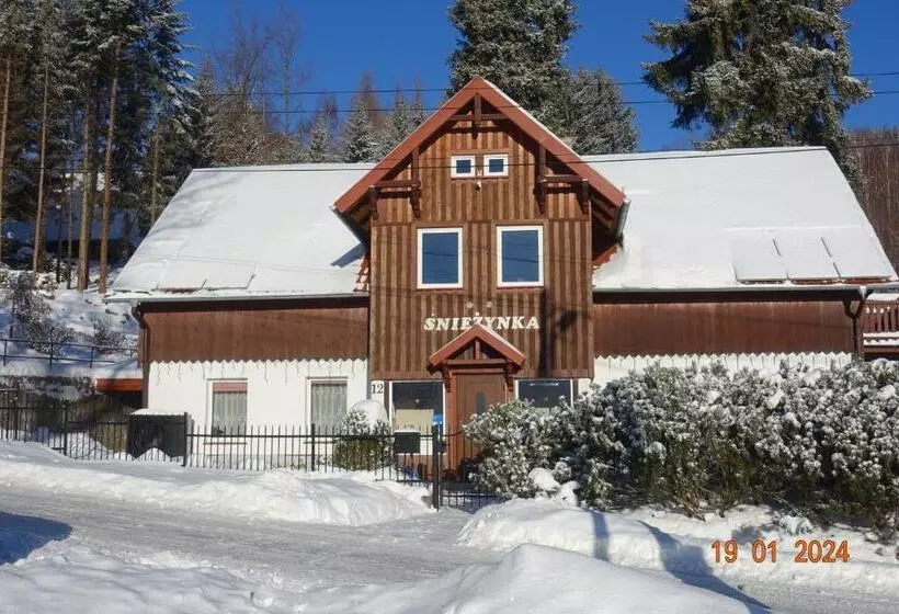 ペンション śnieżynka