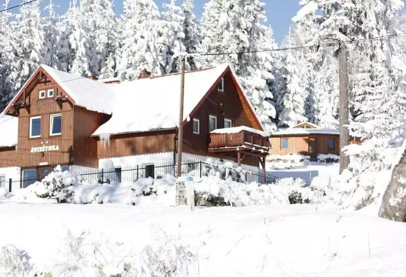 ペンション śnieżynka