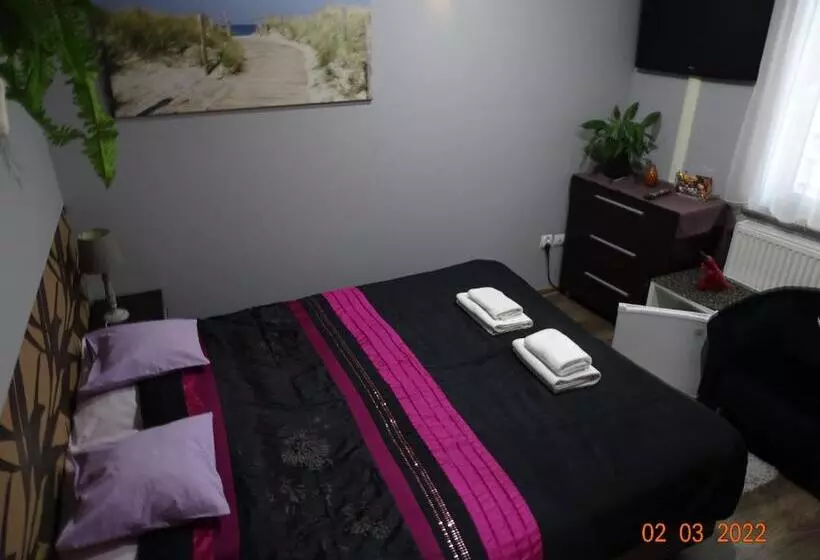 پانسیون Noclegi Nad Morzem U Kasi