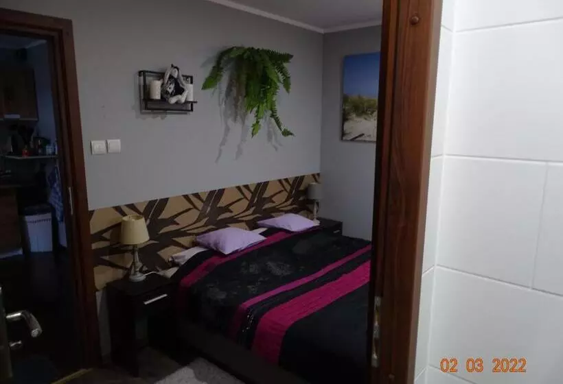 پانسیون Noclegi Nad Morzem U Kasi