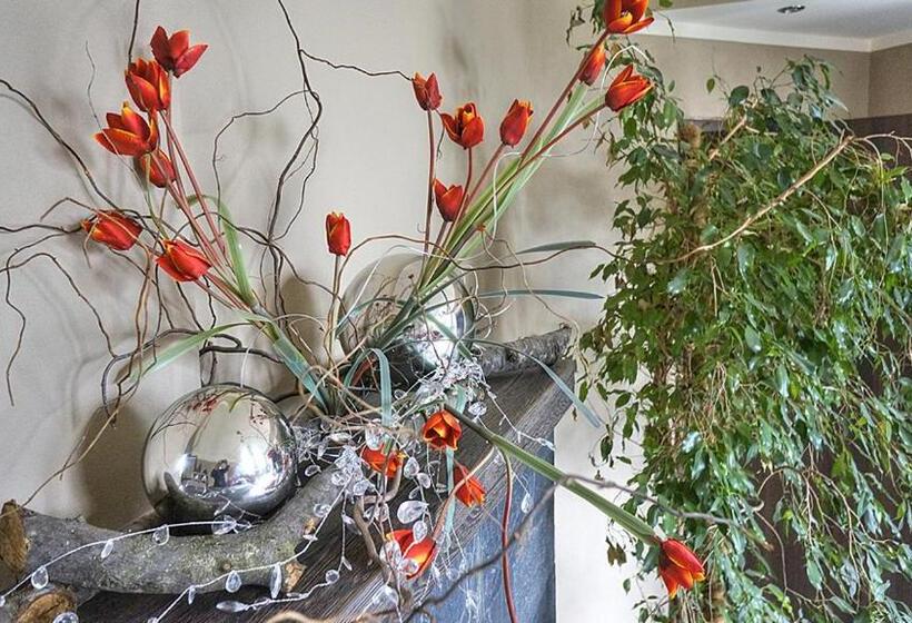 Пансион Pokoje Baldi Benelux