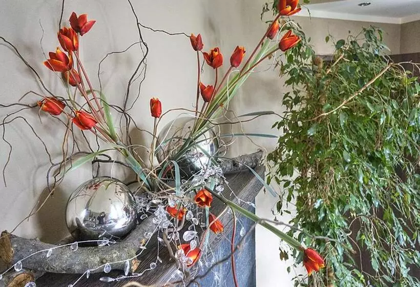 Majatalo Pokoje Baldi Benelux