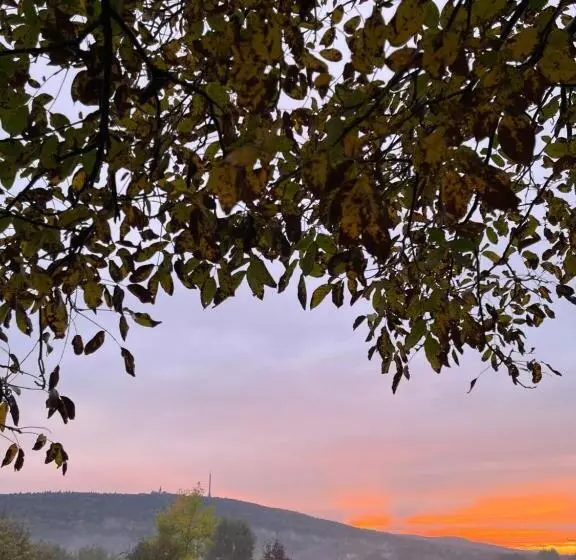 Majatalo Willa Czarownica