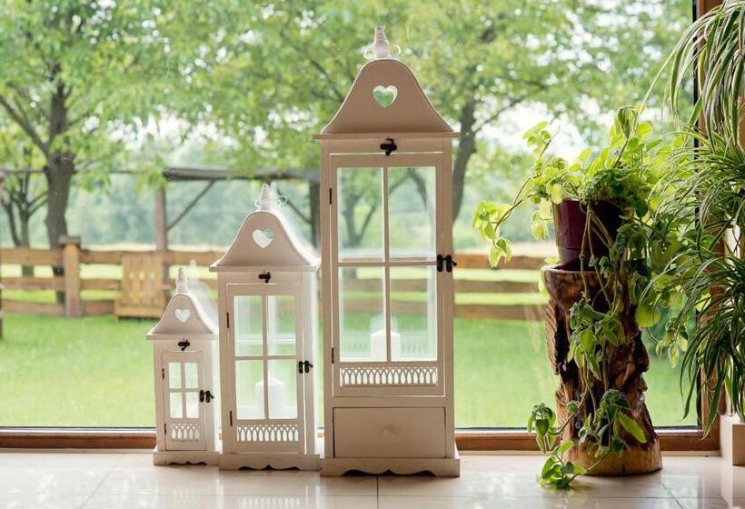 펜션 Willa Czarownica