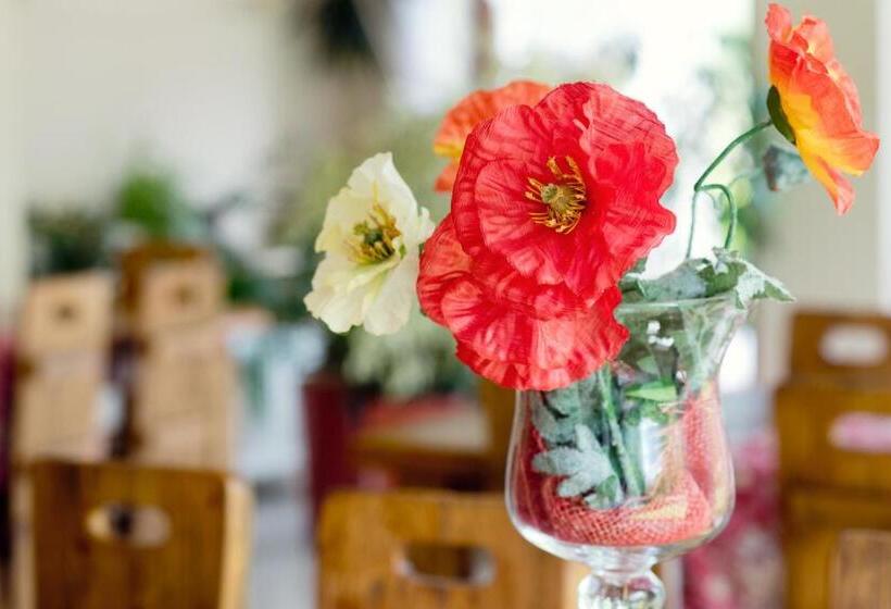 펜션 Willa Czarownica