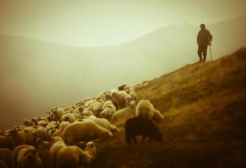 استراحتگاه Chatka U Hazy   Regionalne Pokoje Zakopane