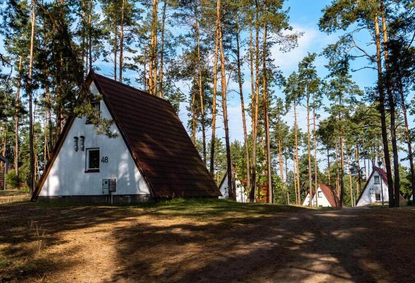 리조트 Ośrodek Wypoczynkowy Kalwa