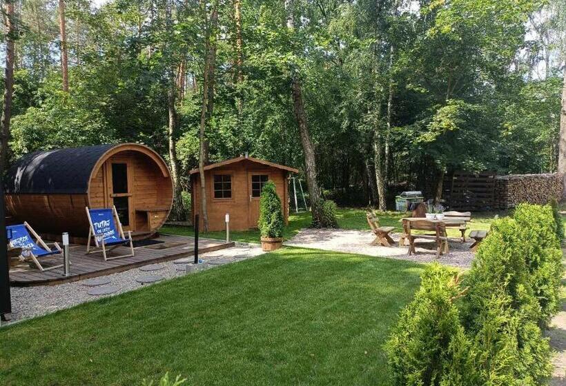 호스텔 Gościniec Lizawka