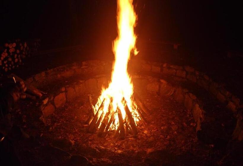 호스텔 Gościniec Lizawka