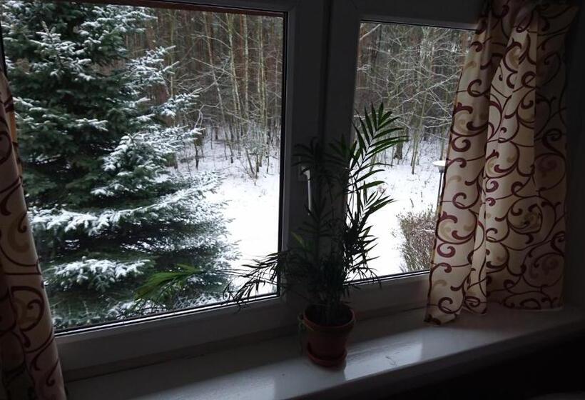 호스텔 Gościniec Lizawka