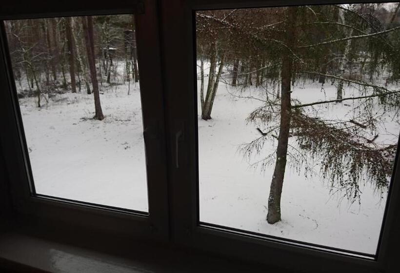 호스텔 Gościniec Lizawka