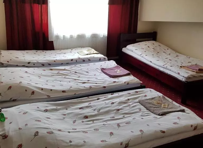 Aamiaismajoitus (B&B) Kamionki