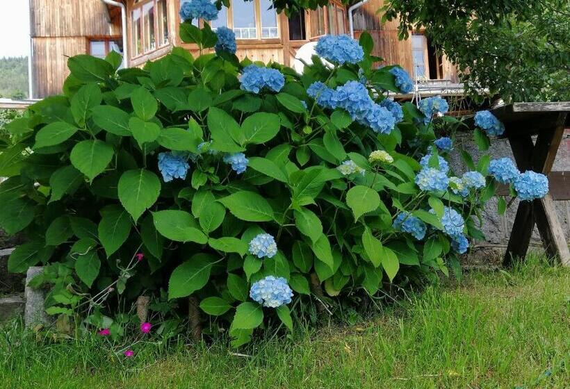 تختخواب و صبحانه Villa Nostalgia