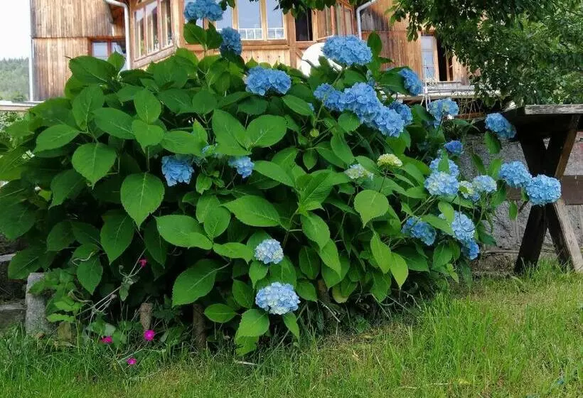 تختخواب و صبحانه Villa Nostalgia