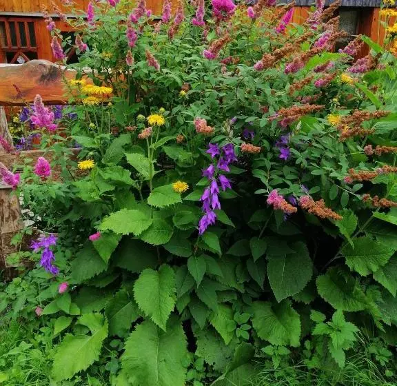 تختخواب و صبحانه Villa Nostalgia