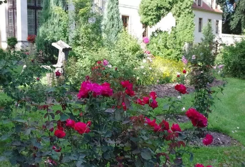 Aamiaismajoitus (B&B) Zamek W Czernej