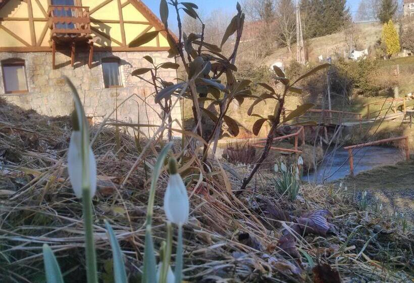 Bed and Breakfast Zbójna Debra