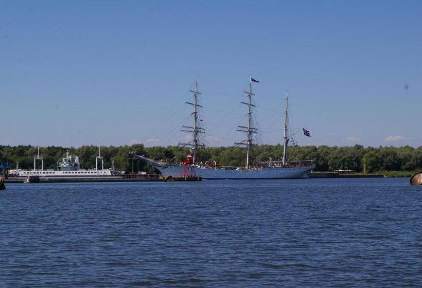 ホテル Agroturystyka Pod Brzozami