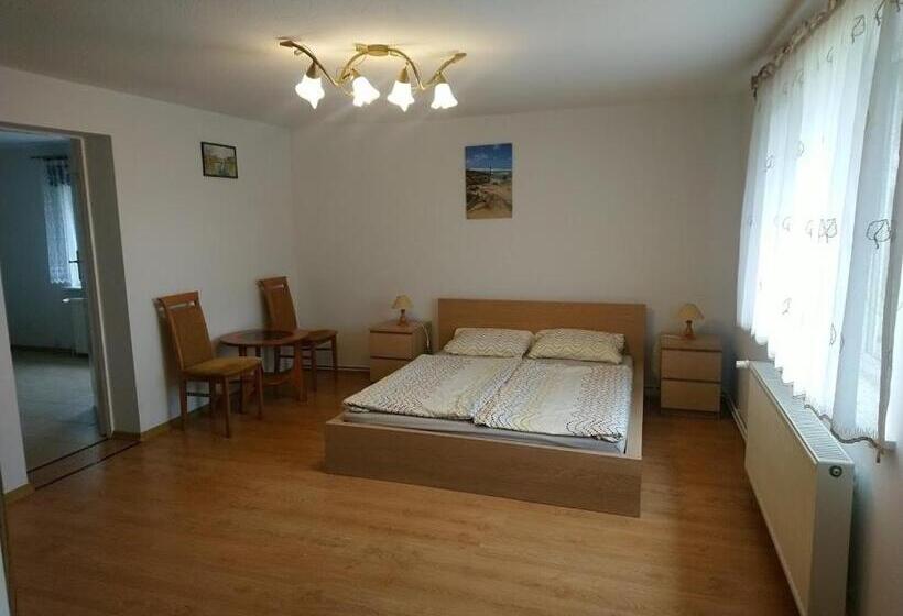 ホテル Agroturystyka Pod Brzozami