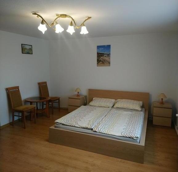 ホテル Agroturystyka Pod Brzozami