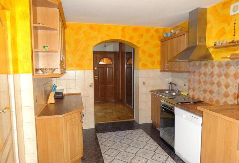 ホテル Agroturystyka Pod Brzozami