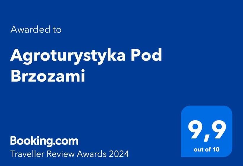 ホテル Agroturystyka Pod Brzozami