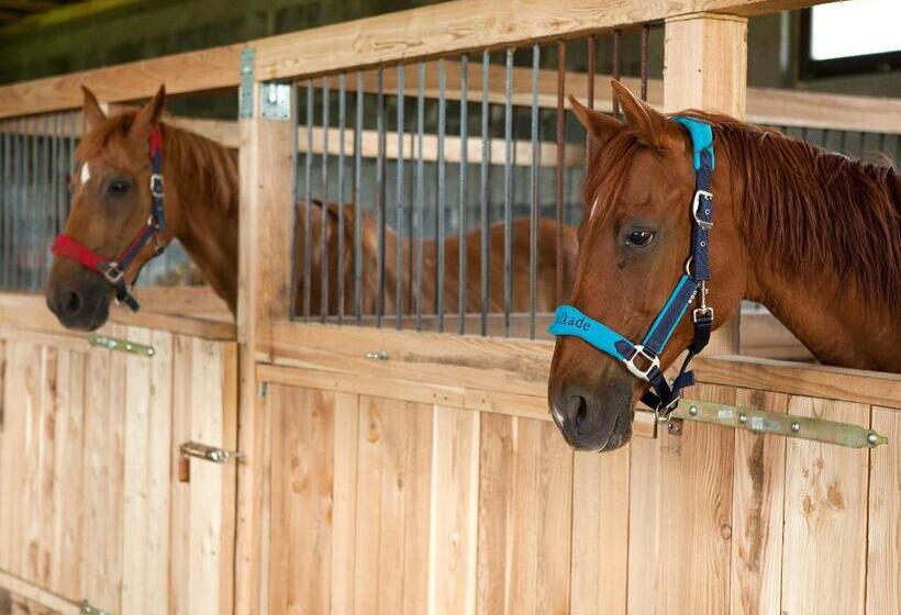 فندق Osada Jeździecka Bata