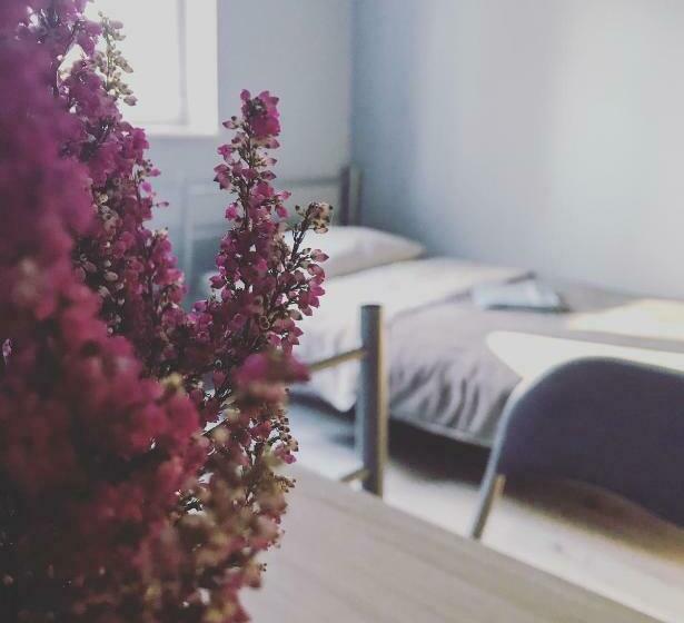 Lawendowy Hostel Wrocław