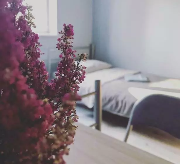 Lawendowy Hostel Wrocław