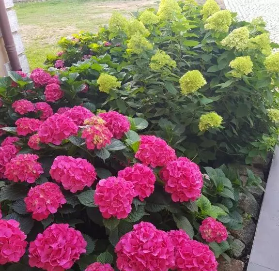 Majatalo Gościniec Słoneczny