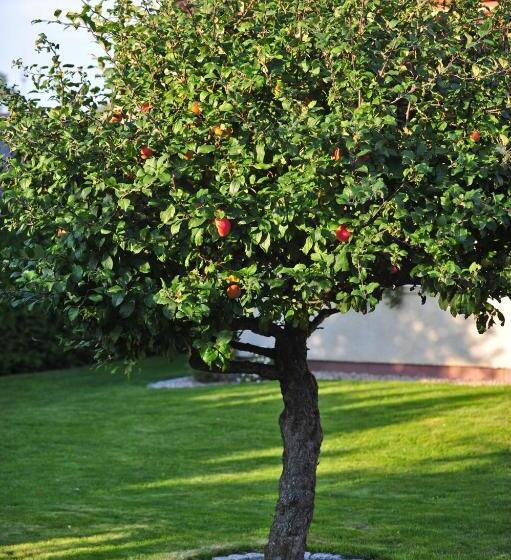 Majatalo Pokoje Nowakowscy