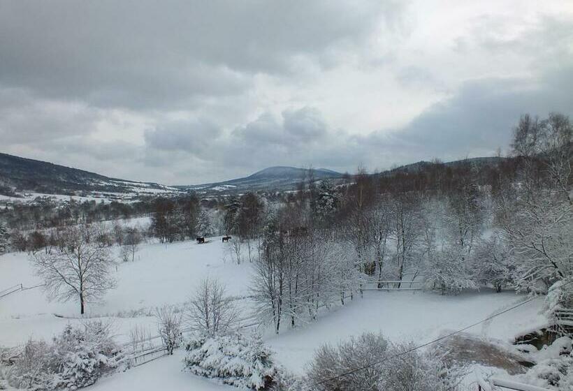 פנסיון Willa Anna Maria