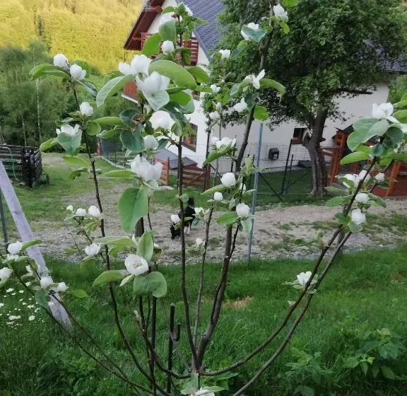 پانسیون Willa Pod Bukami