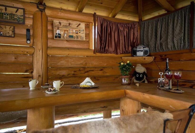 Pension Willa Pod Bukami