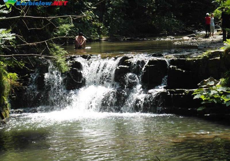 منتجع Willa Helvetia Wellness & Spa