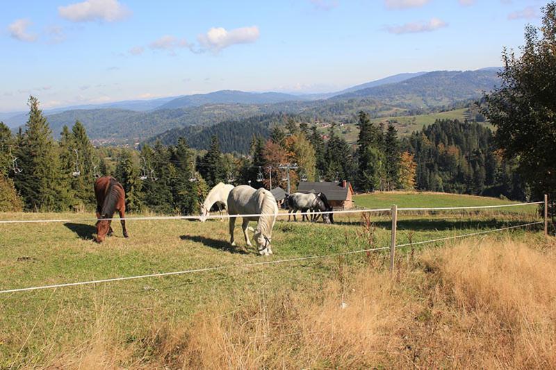 منتجع Willa Helvetia Wellness & Spa