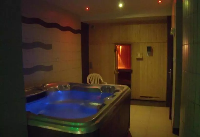 リゾートホテル Willa Helvetia Wellness & Spa