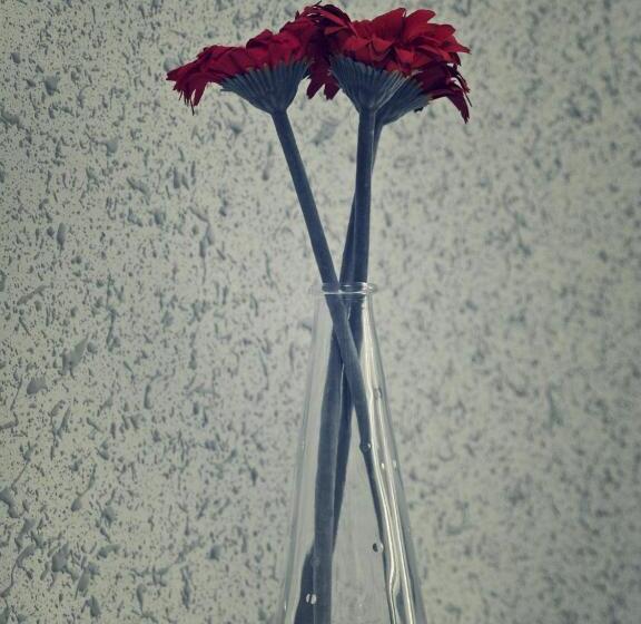 הוסטל Kaktus Guest House