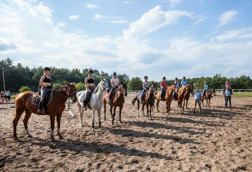 ベッドアンドブレックファースト Pensjonat Iskra