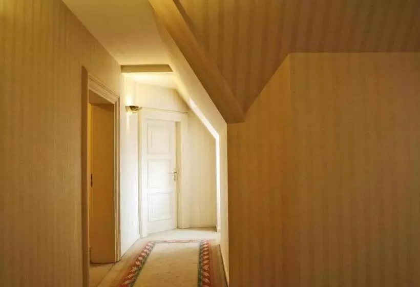 ベッドアンドブレックファースト Rezydencja Willa Park & Restauracja