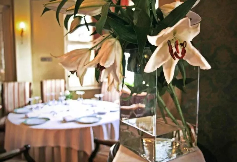 ベッドアンドブレックファースト Rezydencja Willa Park & Restauracja