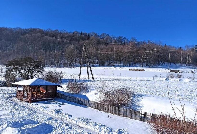 Bed and Breakfast Willa Wzgórze Poręba