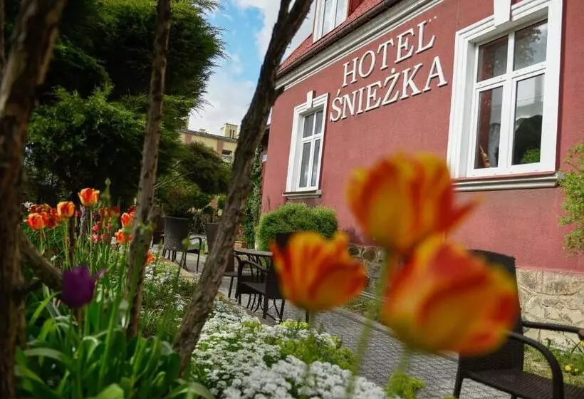 هتل śnieżka