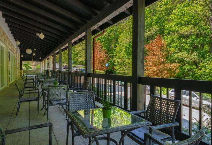 אתר נופש Medical Sensus