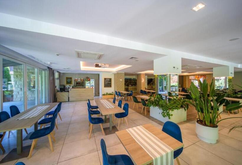 אתר נופש Medical Sensus