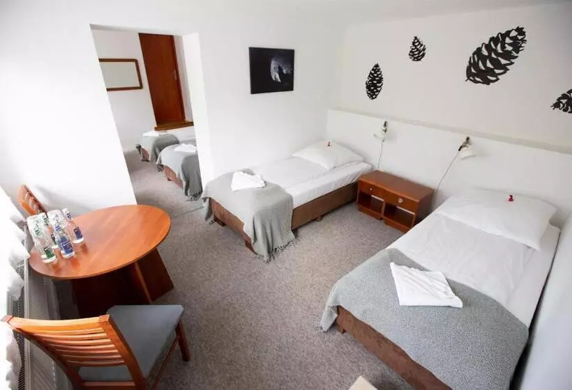 リゾートホテル Rudy Lis Szczyrk