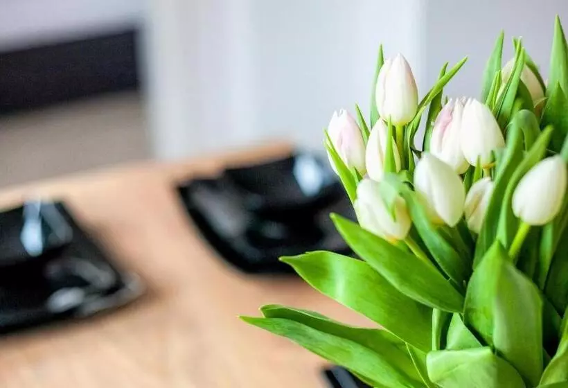 Apartamenty Bałtyckie   Grand Baltic   Wifi, Klimatyzacja, Sala Zabaw, Taras Wypoczynkowy, Centrum U