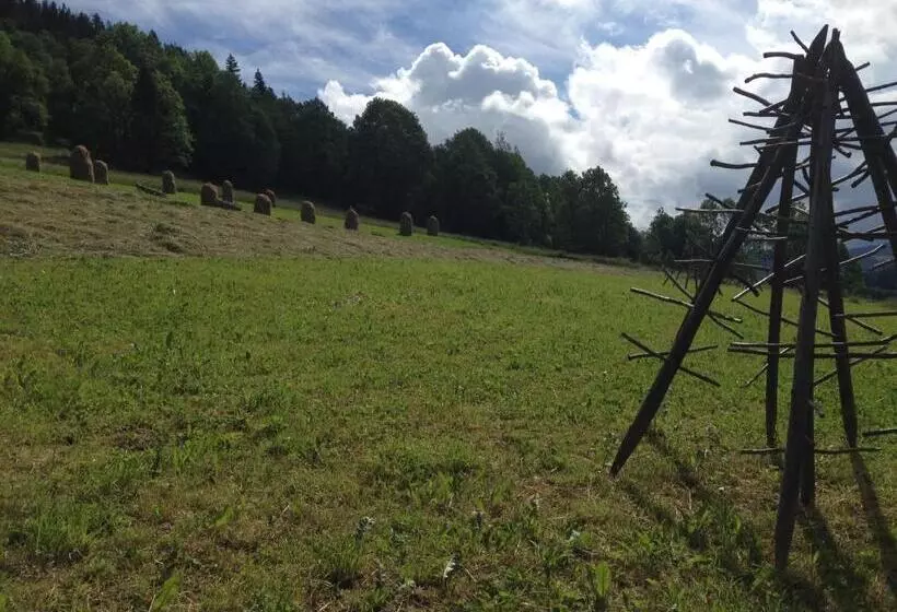 ベッドアンドブレックファースト Pokoje Gościnne Madzia