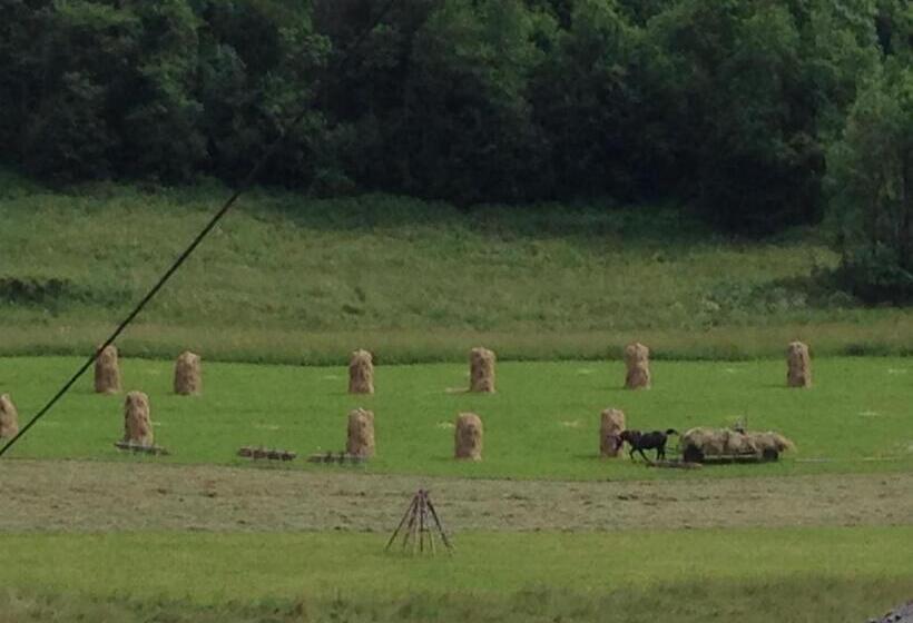 تختخواب و صبحانه Pokoje Gościnne Madzia
