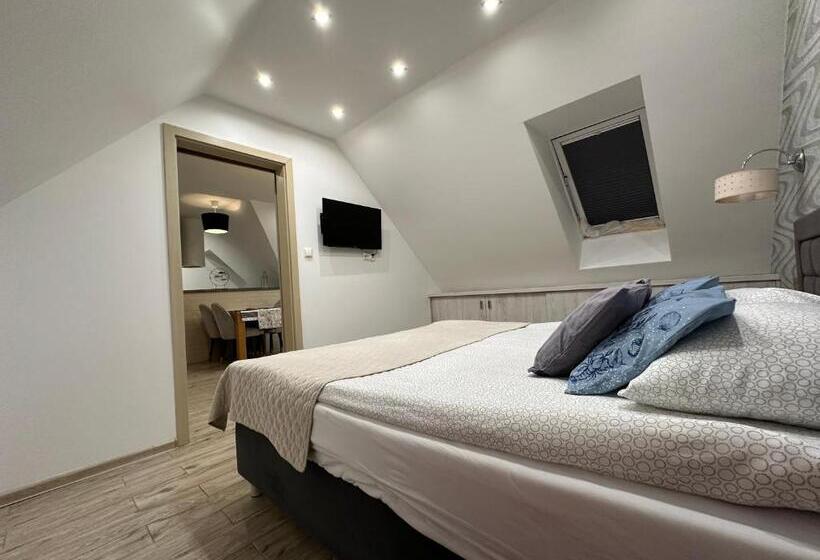 بنسيون Maximus